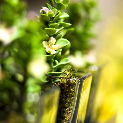 Modern Hotel Accommodations in Atlanta