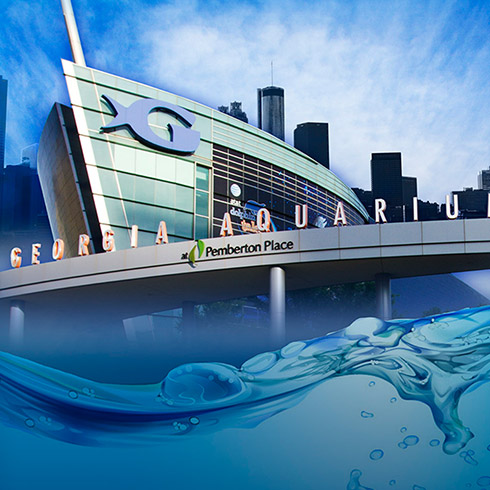 Take Advantage of Our Hotel Packages in Atlanta
