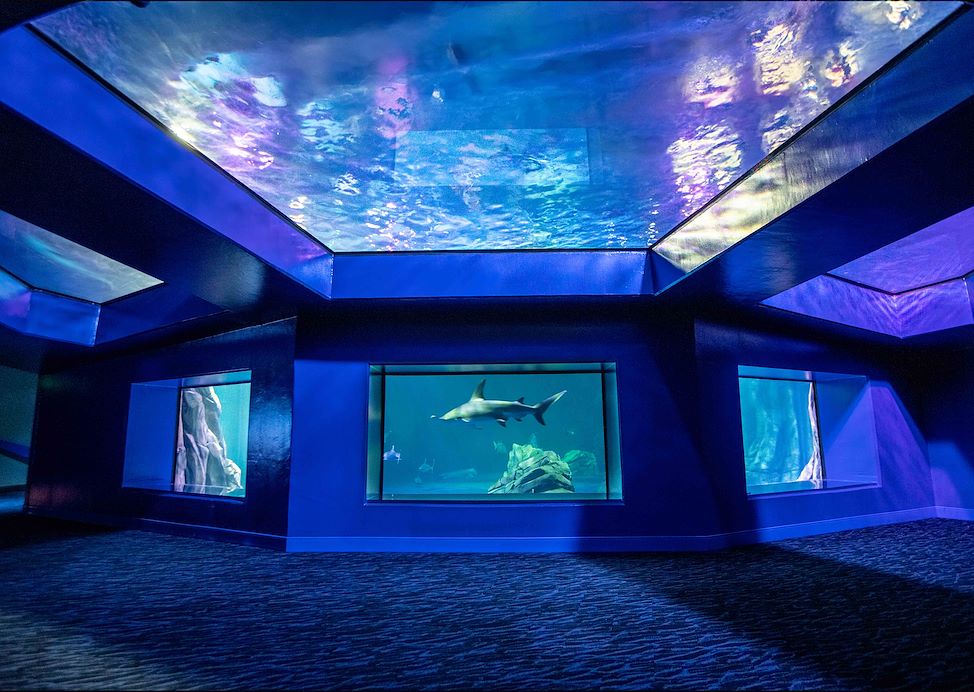 best-attractions-hotel-in-atlanta2