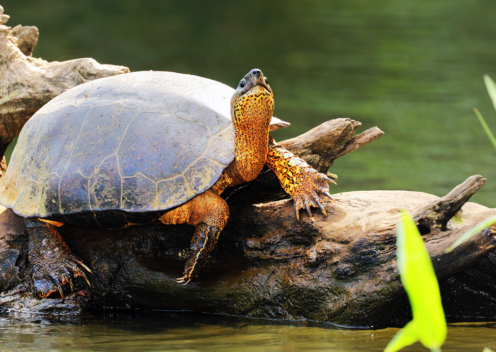 The Nature Conservancy Near Our Hotel in Atlanta